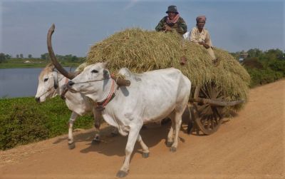 Kieran  Kelleher Cycling on the  tour with redspokes